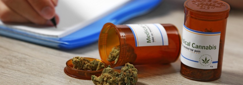 Webinaire cannabis médical en France