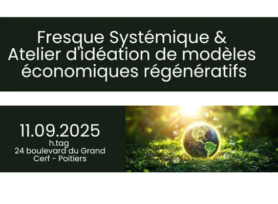 Fresque systémique