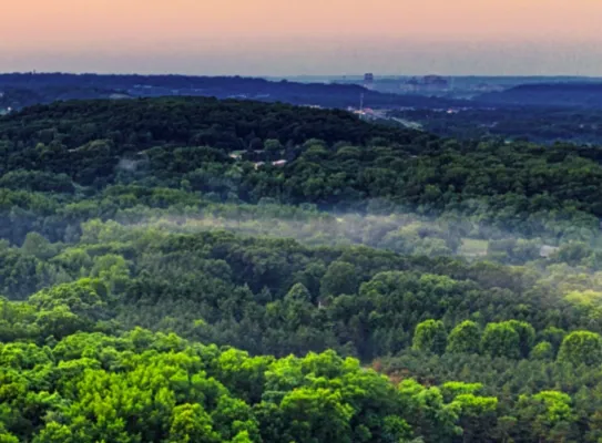 Webinaire sur le règlement européen de la déforestation