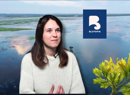 Malaury Morin - Blutopia