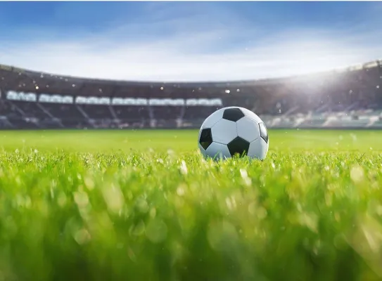 Innovation et transformation du secteur sport