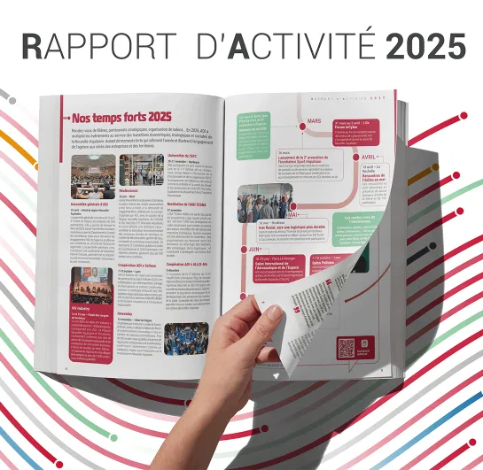 Rapport d'activité ADI 2025