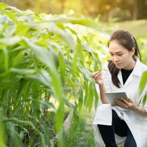 Culture agricole