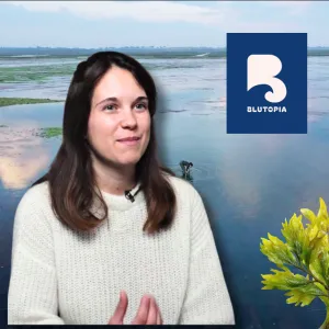 Malaury Morin - Blutopia