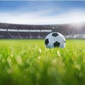 Innovation et transformation du secteur sport