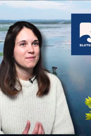 Malaury Morin - Blutopia
