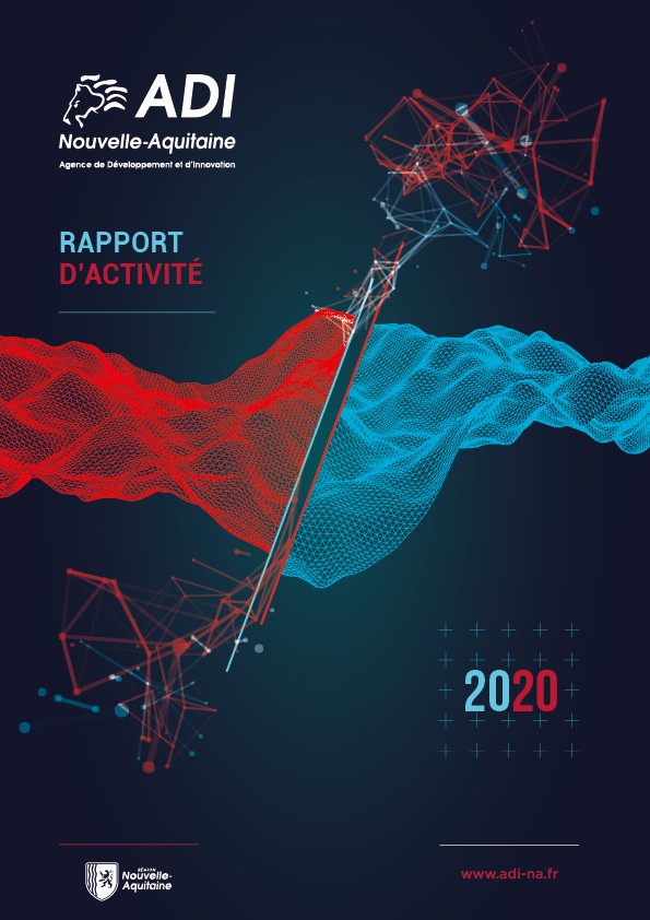 Rapport d'activité ADI N-A 2020